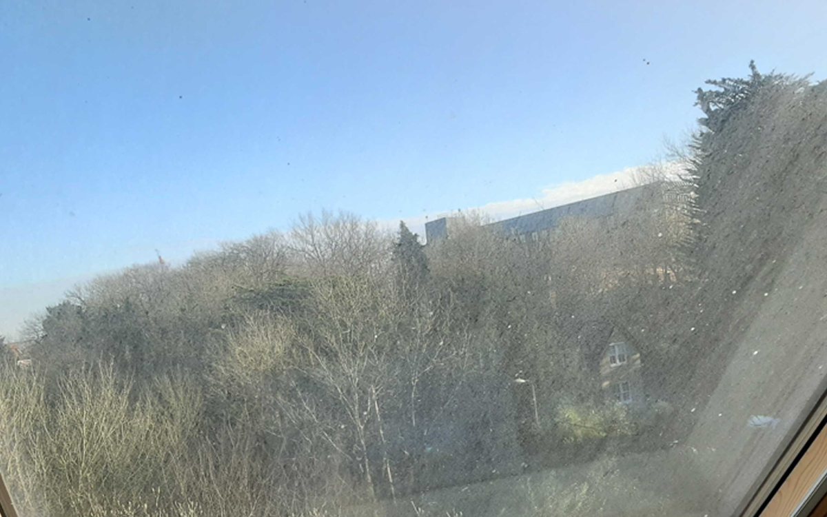 Before — dirty windows
